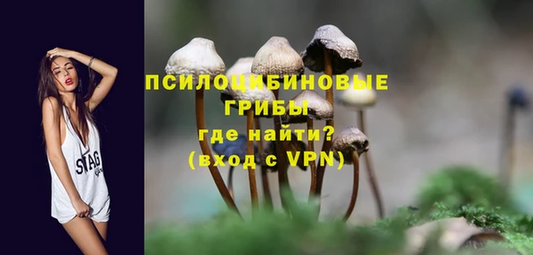 ешки Лабытнанги