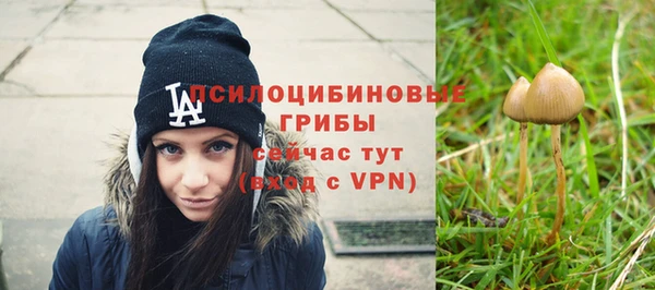 ешки Лабытнанги